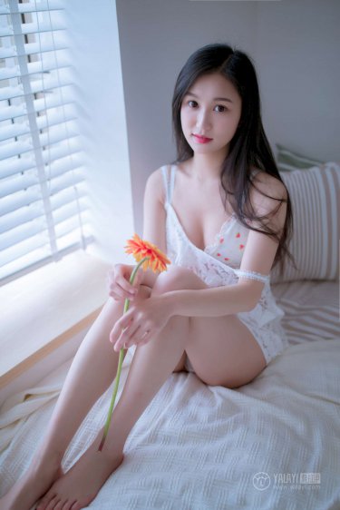 请叫我威廉三世