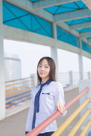信息素