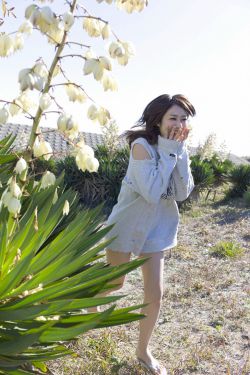 霍兰德测试
