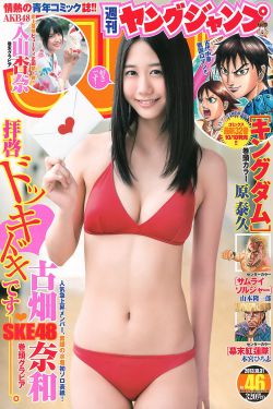 杨晓芬